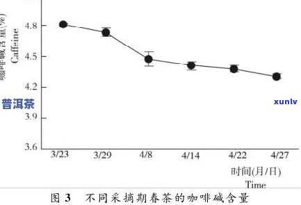 普洱生茶与绿茶氨基酸差异及化饮法对比