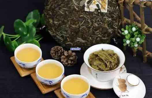 普洱绿茶：融合千年古茶精髓，功效与作用大揭秘