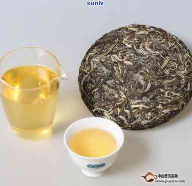 普洱生茶饮用时间：饭后多久最适宜？