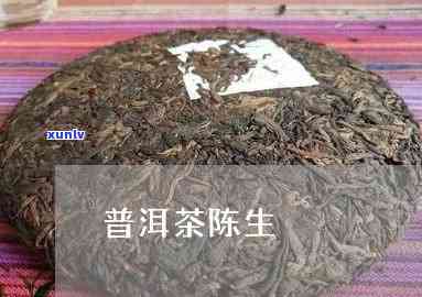 13年陈的普洱生茶-13年陈的普洱生茶能喝吗