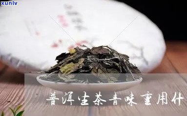 什么泥料泡普洱生茶-什么泥料泡普洱生茶