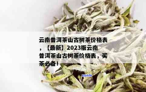 无量山普洱茶价格2016：2012年至2023年多少钱