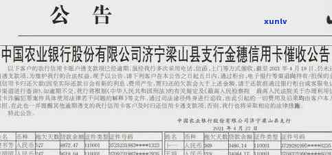 寿县信用卡逾期-寿县信用卡逾期人员名单