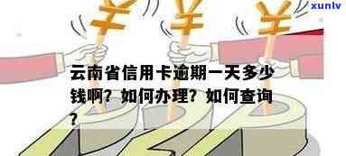 云南开远信用卡逾期会怎么样？当地信用卡办理与最新新闻动态