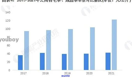 探究七彩双江大叶普洱茶的价格因素及其市场价值