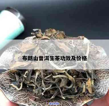 布朗山出口普洱生茶价格及市场行情分析