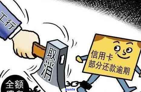 2019年布朗山普洱生茶价格：357克版与马年念饼多少钱？