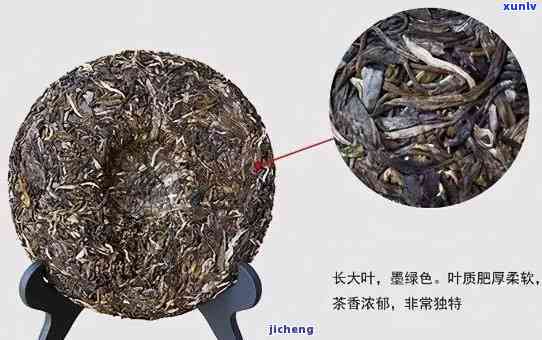 探究普洱生茶的茶名奥秘：你知道多少？