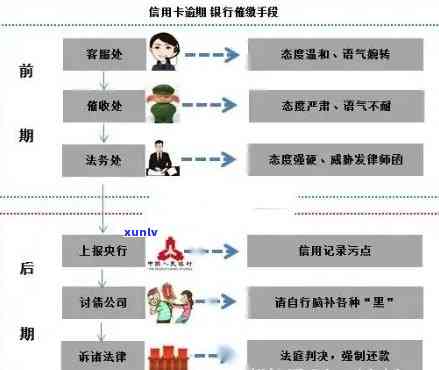 信用卡逾期1年后的恢复时间及流程详解