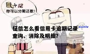 详解信用卡逾期记录明细查询 *** 