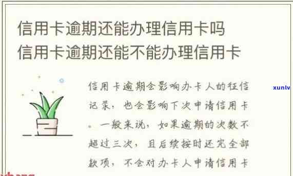 办信用卡逾期走什么流程？逾期办卡影响及还款指南