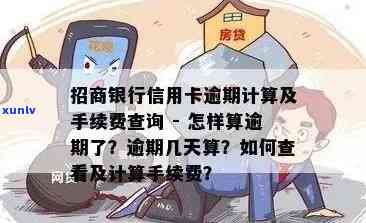 招商信用卡逾期怎么收费-招商信用卡逾期怎么收费的呢