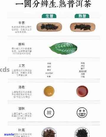 信用卡逾期还款期限：了解逾期款项累积的时间及影响