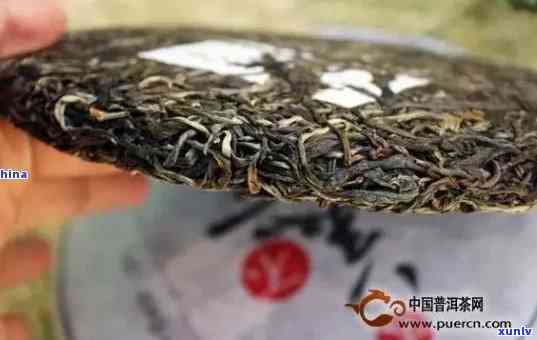 探究普洱生茶：几年之上才能称之为老茶？