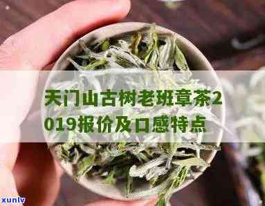 天门山古树茶2019报价：口感与价格详情一览