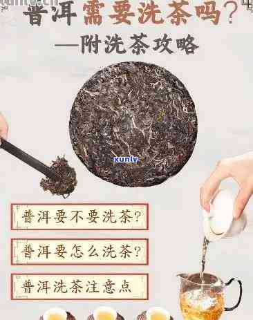 普洱生茶用不用洗茶叶？深度解析泡饮与洗茶要点