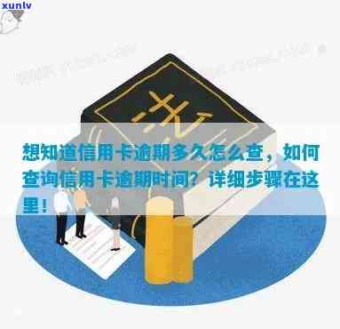 怎么知道自己信用卡逾期时间：查询 *** 汇总