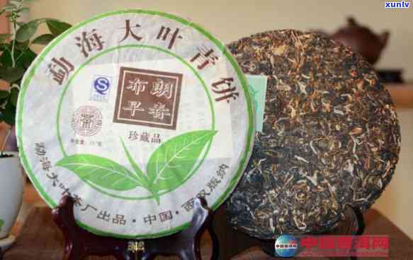 探究2007年普洱茶叶的市场价值与收藏潜力