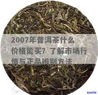 探究2007年普洱茶叶的市场价值与收藏潜力