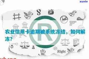 农业信用卡逾期冻结了-农业信用卡逾期冻结了还能解开么