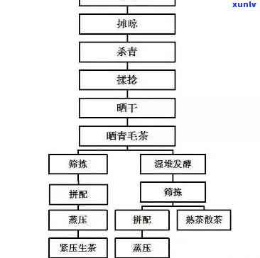 普洱生茶的工艺流程-普洱生茶的工艺流程图