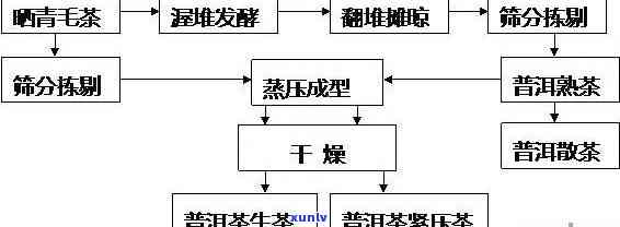 普洱生茶的工艺流程-普洱生茶的工艺流程图