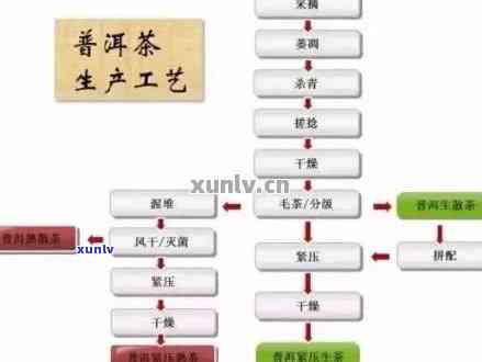 普洱茶生茶的工艺流程：从采摘到成品解析