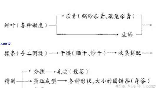 普洱生茶的生产过程-普洱生茶的生产过程及时间表