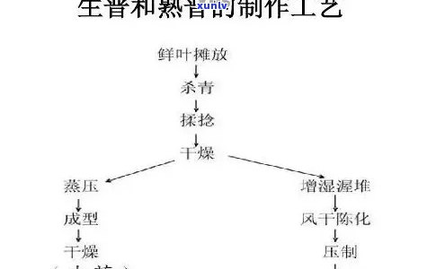 普洱生茶的生产过程-普洱生茶的生产过程及时间表