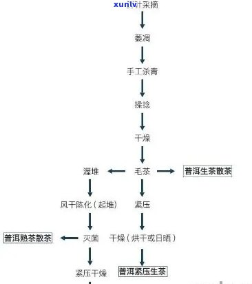 普洱生茶的生产过程-普洱生茶的生产过程及时间表