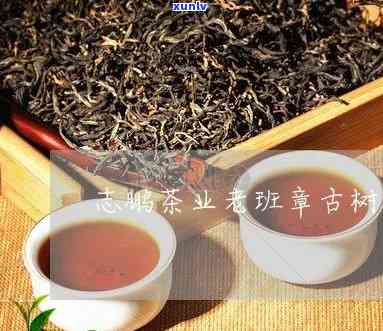 云南勐海志鹏茶业：勐海志鹏茶业与06年老班章古树普洱熟茶