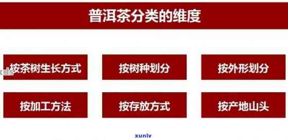 普洱生茶存价值分析：投资与收藏指南