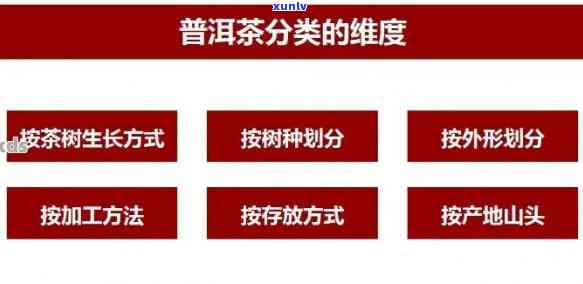 普洱生茶存价值分析：投资与收藏指南