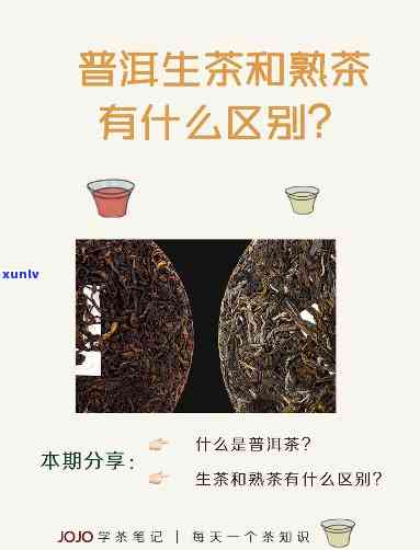 普洱生茶和熟茶存-普洱生茶和熟茶存的区别