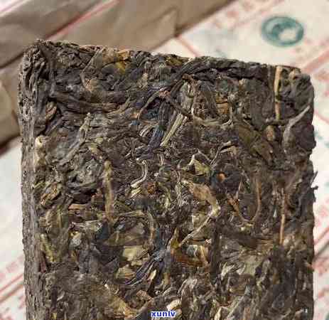 老班章1998茶砖价格：稀缺古树茶的魅力与价值