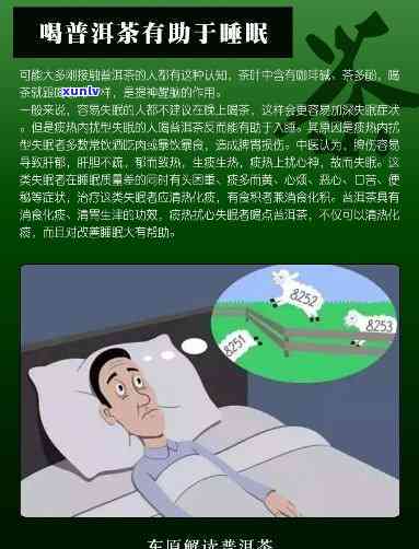 探究普洱茶影响睡眠的真相