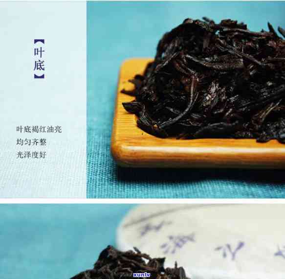 帕沙普洱茶特点产地：探秘其独特风味的源头