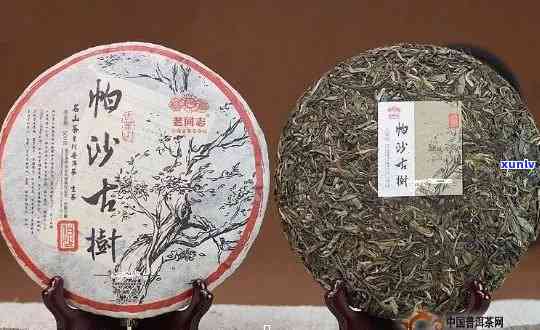 帕沙普洱茶是哪个茶区的与产品