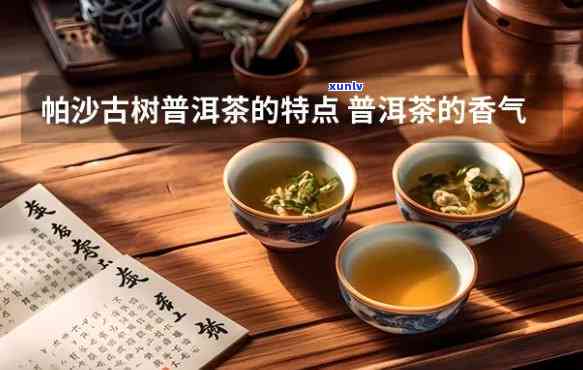 帕沙普洱生茶的特点-帕沙普洱生茶的特点是什么