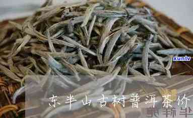 东半山普洱生茶特点-东半山普洱茶生茶价格