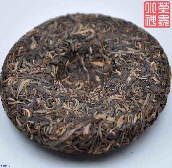 古树春茶之源：探索老班章茶传奇