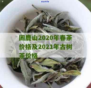 困鹿山普洱茶价格定位：2020年份茶品解析