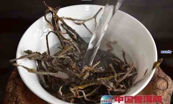 探索老班章古树茶：正确的冲泡与品鉴 *** -老班章古树茶怎么喝