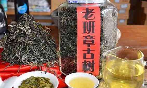 探索老班章古树茶：正确的冲泡与品鉴 *** -老班章古树茶怎么喝