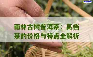 雨林古茶普洱茶价格表：稀有茶叶的珍贵一览