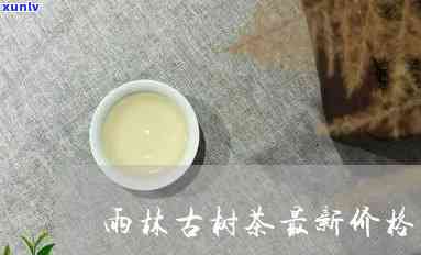 雨林古茶普洱茶价格表：稀有茶叶的珍贵一览