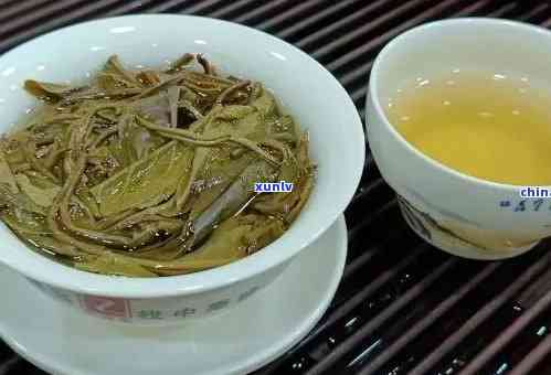 探究老班章茶饼：200克稀缺茶叶的价格之谜