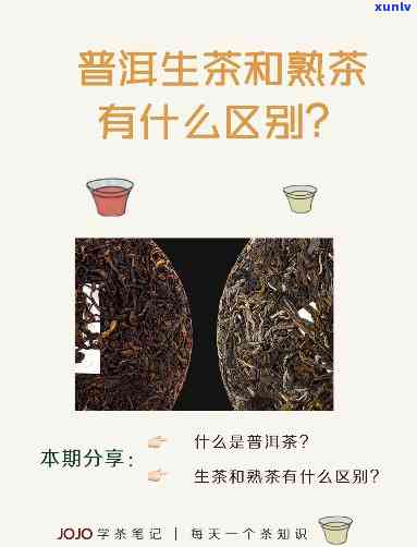 探究普洱生茶与熟茶饮用 *** 的区别