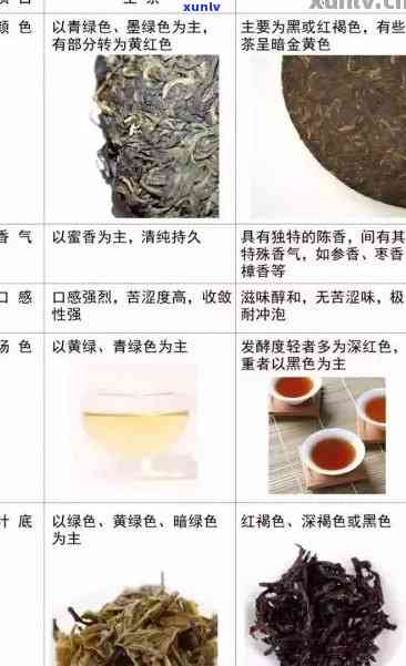 普洱生茶与熟茶品饮方式大揭秘：口感与健差异一览无余