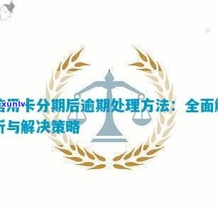 操作信用卡逾期减免分期：步骤与策略全解析